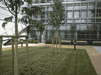 Tiefhof der Kolloid- und Grenzflchenforschung