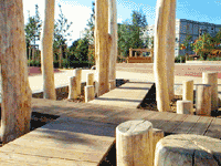 Robinienstelen-Wald zum Balancieren