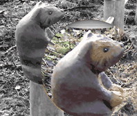 detailverliebte Schnitzarbeiten