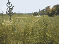 Gelndeausschnitt ehem. Mauerstreifen