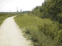 neuer Weg am Grenzgraben