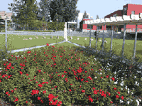 zentraler Platz mit Sonnenuhr